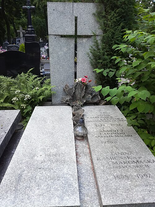 Anna Kamieńska-Łapińska
