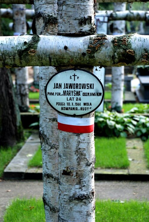 Jan Jaworowski