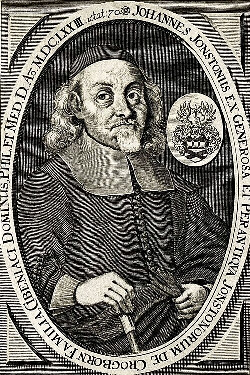 Jan Jonston