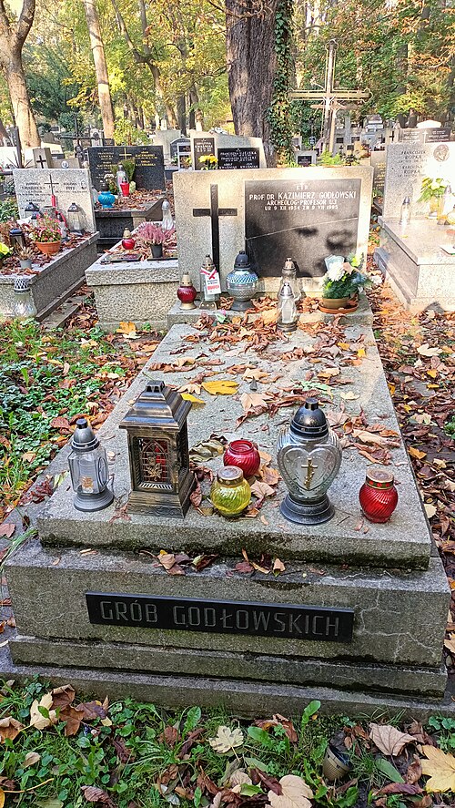 Kazimierz Godłowski