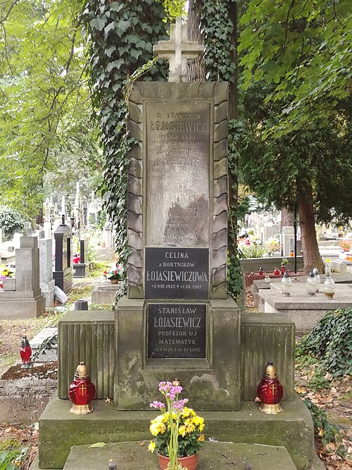 Stanisław Łojasiewicz